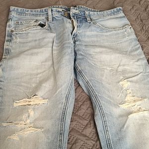 Buffalo David Bitton